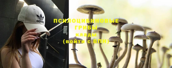 бутират Елабуга