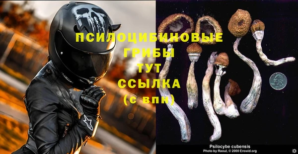 бутират Елабуга