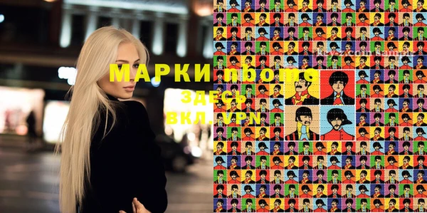 крисы Братск