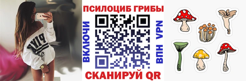 Псилоцибиновые грибы Magic Shrooms  Купить  Мещовск 
