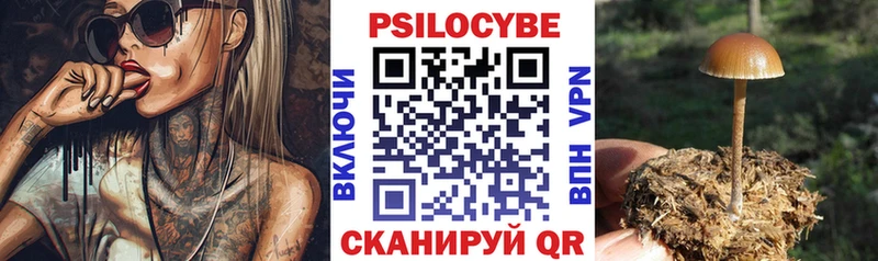 Псилоцибиновые грибы мухоморы Мещовск